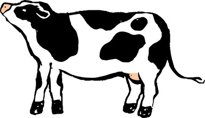 This is a illustration of Hand drawn realistic dairy cowillustration
