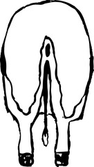 This is a illustration of Hand drawn realistic dairy cowillustration