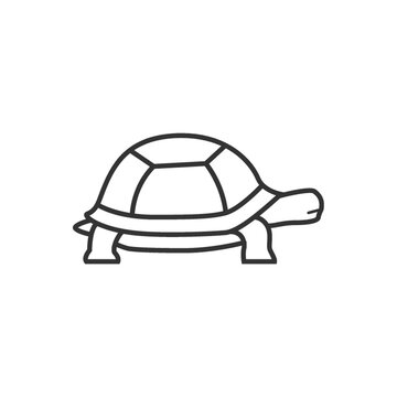 recommend clip art: tortoise