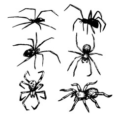 Hand drawn spiders. Halloween decoration set. 