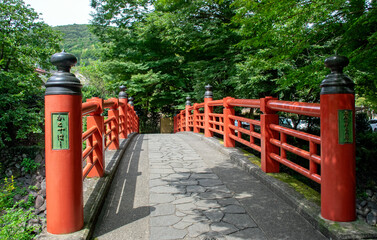 Fototapeta na wymiar 伊豆 修善寺の朱色が映えてアーチ姿が美しい「かえで橋」