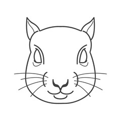 squirrel