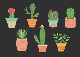 Foto op Plexiglas Cactus in pot Set of vector hand drawn isolated cactus,Cute green cactus in flower , illustrations. 