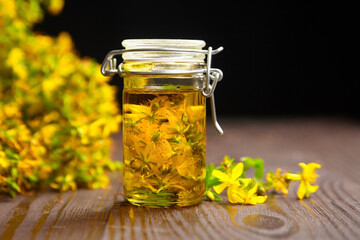 Glass jar with hypericum or St Johns wort oil extract and fresh flowers buds