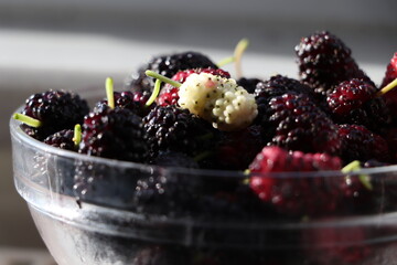 mulberry in a bowl