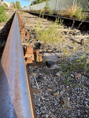Bahngleise Nahaufnahme, führt zum Horizont, dazwischen wachsen Pflanzen, Eisen ist verrostet