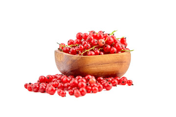 Red currant berries in bowl isolated on white background
