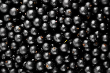 Black currant fresh berries texture