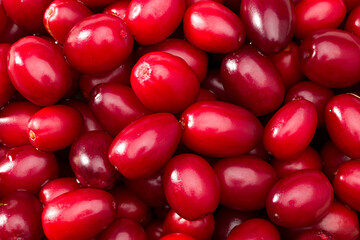 dogwood berries texture. dogwood berries background. top view. full screen