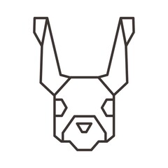 Hare head