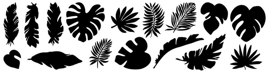 Fototapeta na wymiar Vector set of black silhouettes of tropical leaves. Collection of exotic leaves of monstera, palm, banana isolated on a white background. Horizontal composition