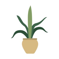 Plant