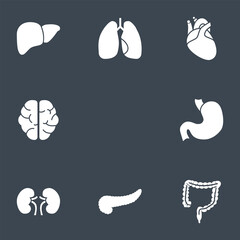 Internal Organs Vector Icons Set. Glyph Related Icons, Sign and Symbols in Flat Design Medicine and Health Care with Elements for Mobile Concepts and Web Apps. Collection Infographic Logo, Pictogram