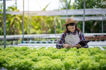 Naklejka na ściany i meble Hydroponics vegetable farm. Beautiful asian farmer studying hydroponic vegetable growing and analyzing. Concept of growing organic vegetables and health food.