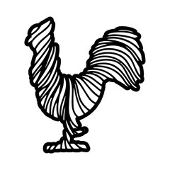 rooster