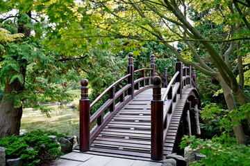 Japanese style wooden bridge in a park by a pond