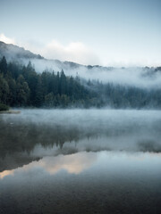 Foggy Coniferous Forest and lake wilderness landscape Travel serene scenic view.  Sfanta Ana,Romania