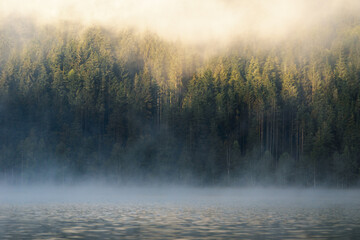 Plakat Beautiful foggy morning. Mist over the fir forest at sunrise.Sfanta Ana,Romania,Transylvania.
