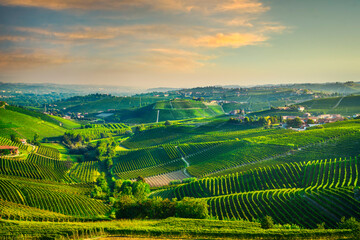 Fototapeta premium Langhe vineyards landscape, Barbaresco. Piedmont, Italy Europe.