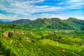 Prosecco Hills, vineyards panorama. Unesco Site. Valdobbiadene, Veneto, Italy
