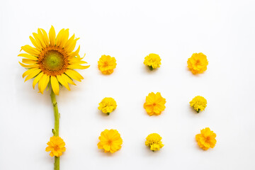 yellow flowers cosmos, marigolds and  sunflowers arrangement flat lay postcard style on background white 