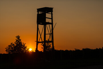Z&aacute;pad slunce nad vinohrady