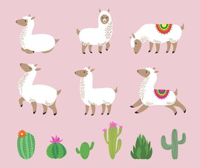White llama set. Cute alpaca, cartoon wool wild south america animals. Childish llamas characters and cactus vector illustration. Alpaca america and green cactus, graphic animal lama