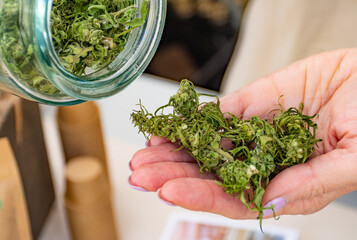 Dry and trimmed marijuana or cannabis buds stored in a glass jar and big bud in a hand of Caucasian...