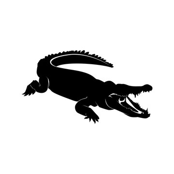 Crocodile Logo Template Design Vector