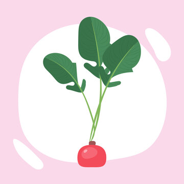 vector texture image of radish, radish icon isolated on background