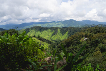 Forest and mountain at Mae Wong National Park or Chong Yen, Kamphaeng Phet Province, Thailand