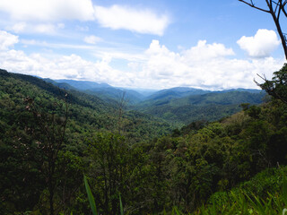 Forest and mountain at Mae Wong National Park or Chong Yen, Kamphaeng Phet Province, Thailand