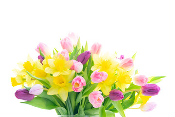 tulips and daffodils flowers