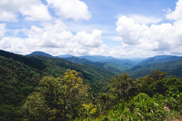 Fototapeta na wymiar Forest and mountain at Mae Wong National Park or Chong Yen, Kamphaeng Phet Province, Thailand