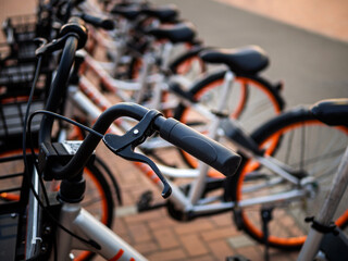 Bike rental on the main street of the city. Bike sharing system.