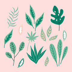 Modern ropical leaves.Botanical elements.Jungle leaves