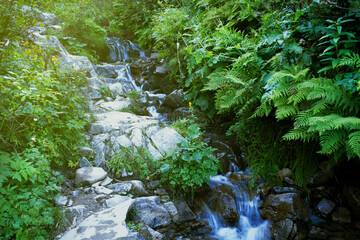 Stunning slow establishing aerial shot of river with huge waterfall in green forest