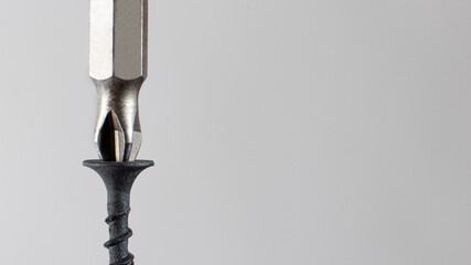 Self-cutters and screwdriver on a gray background with space for text. Screw with thread - fasteners for construction, tools and accessories repair