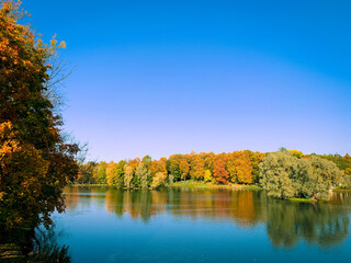 Golden trees on the lake in the fall time