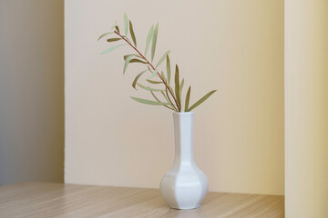 Dry olive branch in white vase natural light . High quality photo