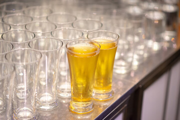 beer glasses prepared for serving