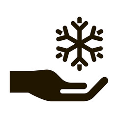 Fancy Snowflake Sign glyph icon vector. Fancy Snowflake Sign Sign. isolated symbol illustration