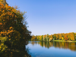 Golden trees on the lake in the fall time