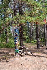 Fototapeta premium Bench and tree of wishes with colorful ribbons in a coniferous forest near a hot mineral spring. The popular balneological resort of Buryatia, Goryachinsk. Summer
