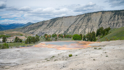 hydrothermal areas of mammoth hot springs in yellowstone national park in wyoming in the usa