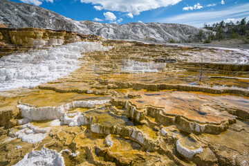 hydrothermal areas of mammoth hot springs in yellowstone national park in wyoming in the usa