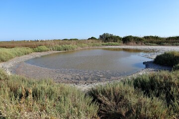 Vendicari – Acqua stagnante di Pantano Grande