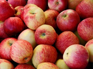 multicolor tasty apples as wholesome food