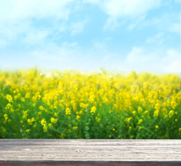 合成用背景　菜の花（アブラナ）と木目テーブル