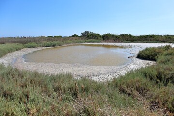 Noto – Acqua stagnante del Pantano Grande della Riserva Naturale di Vendicari
